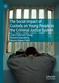 Imagen de portada: The Social Impact of Custody on Young People in the Criminal Justice System 9783030184216