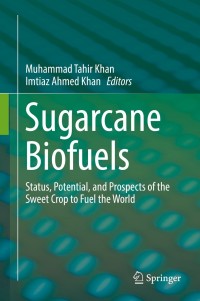 Imagen de portada: Sugarcane Biofuels 9783030185961