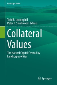 Cover image: Collateral Values 9783030189907