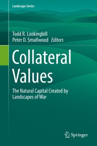 表紙画像: Collateral Values 9783030189907