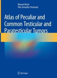 Cover image: Atlas of Peculiar and Common Testicular and Paratesticular Tumors 9783030196530