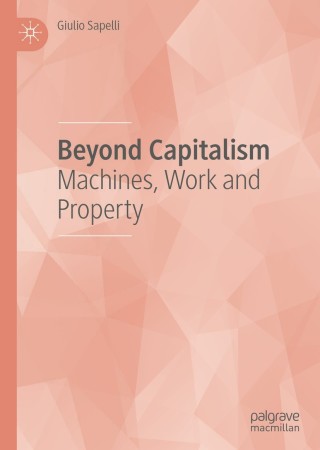 Imagen de portada: Beyond Capitalism 9783030207687