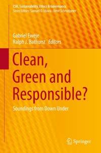 Cover image: Clean, Green and Responsible? 9783030214357