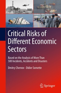 Cover image: Critical  Risks of Different Economic Sectors 9783030250331