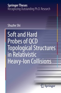 Cover image: Soft and Hard Probes of QCD Topological Structures in Relativistic Heavy-Ion Collisions 9783030254810