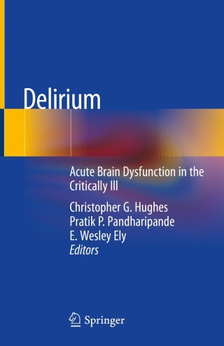 Cover image: Delirium 9783030257507