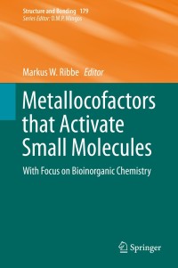 Cover image: Metallocofactors that Activate Small Molecules 9783030258962