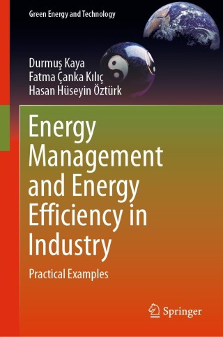 Immagine di copertina: Energy Management and Energy Efficiency in Industry 9783030259945