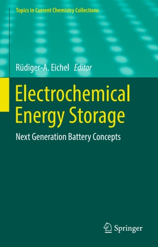Imagen de portada: Electrochemical Energy Storage 9783030261283