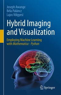 Imagen de portada: Hybrid Imaging and Visualization 9783030261528