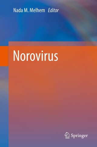 Omslagafbeelding: Norovirus 1st edition 9783030272081