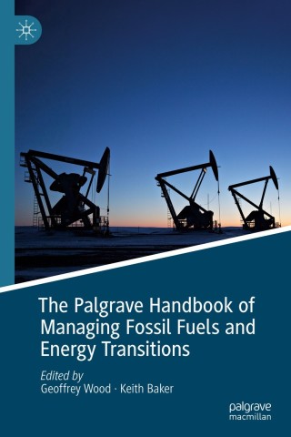 Imagen de portada: The Palgrave Handbook of Managing Fossil Fuels and Energy Transitions 9783030280758