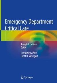 表紙画像: Emergency Department Critical Care 1st edition 9783030287924