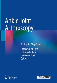 Cover image: Ankle Joint Arthroscopy 1st edition 9783030292300