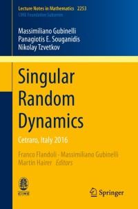 Immagine di copertina: Singular Random Dynamics 9783030295448