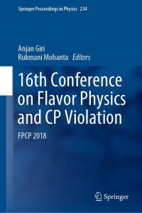 Immagine di copertina: 16th Conference on Flavor Physics and CP Violation 9783030296216