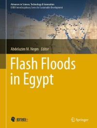 Cover image: Flash Floods in Egypt 1st edition 9783030296346