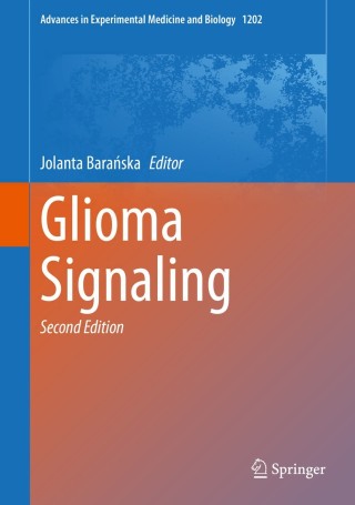 Cover image: Glioma Signaling 2nd edition 9783030306502