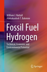 Cover image: Fossil Fuel Hydrogen 9783030309077