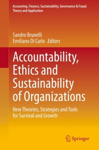 Titelbild: Accountability, Ethics and Sustainability of Organizations 9783030311926