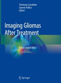 Cover image: Imaging Gliomas After Treatment 2nd edition 9783030312091