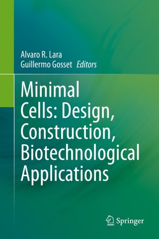 Titelbild: Minimal Cells: Design, Construction, Biotechnological Applications 9783030318963