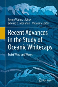 Imagen de portada: Recent Advances in the Study of Oceanic Whitecaps 1st edition 9783030363703