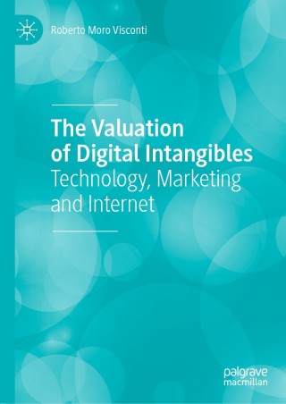Cover image: The Valuation of Digital Intangibles 9783030369170