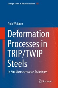 Imagen de portada: Deformation Processes in TRIP/TWIP Steels 9783030371487