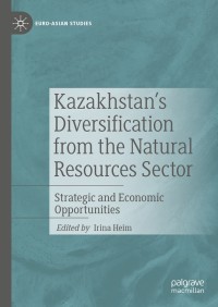 表紙画像: Kazakhstan's Diversification from the Natural Resources Sector 1st edition 9783030373887