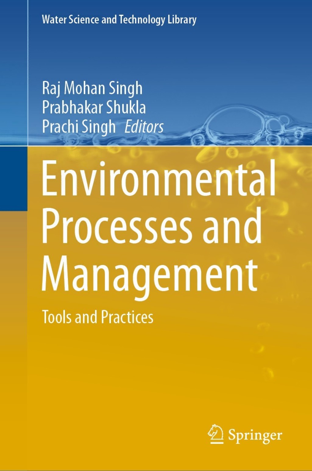 Environmental Processes and Management Tools and Practices 1st Edition