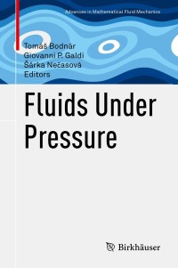 صورة الغلاف: Fluids Under Pressure 1st edition 9783030396381