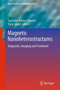 Cover image: Magnetic Nanoheterostructures 1st edition 9783030399221