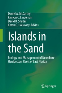 Immagine di copertina: Islands in the Sand 9783030403560