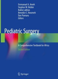 Cover image: Pediatric Surgery 2nd edition 9783030417239