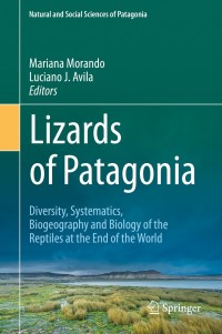Omslagafbeelding: Lizards of Patagonia 1st edition 9783030427511