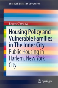 Cover image: Housing Policy and Vulnerable Families in The Inner City 9783030428488