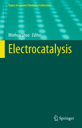 Imagen de portada: Electrocatalysis 1st edition 9783030432935