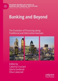 Cover image: Banking and Beyond 1st edition 9783030457518