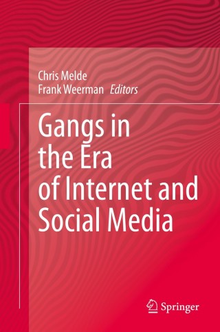 表紙画像: Gangs in the Era of Internet and Social Media 1st edition 9783030472139