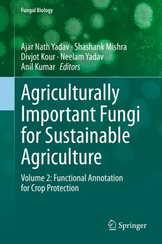 Imagen de portada: Agriculturally Important Fungi for Sustainable Agriculture 1st edition 9783030484736