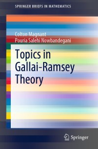Cover image: Topics in Gallai-Ramsey Theory 9783030488963