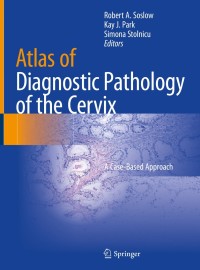 Cover image: Atlas of Diagnostic Pathology of the Cervix 1st edition 9783030499532
