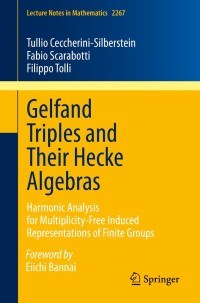 Imagen de portada: Gelfand Triples and Their Hecke Algebras 9783030516062