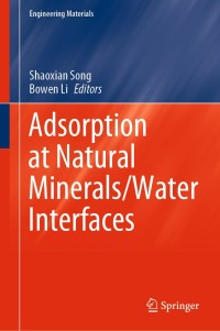 Cover image: Adsorption at Natural Minerals/Water Interfaces 1st edition 9783030544508