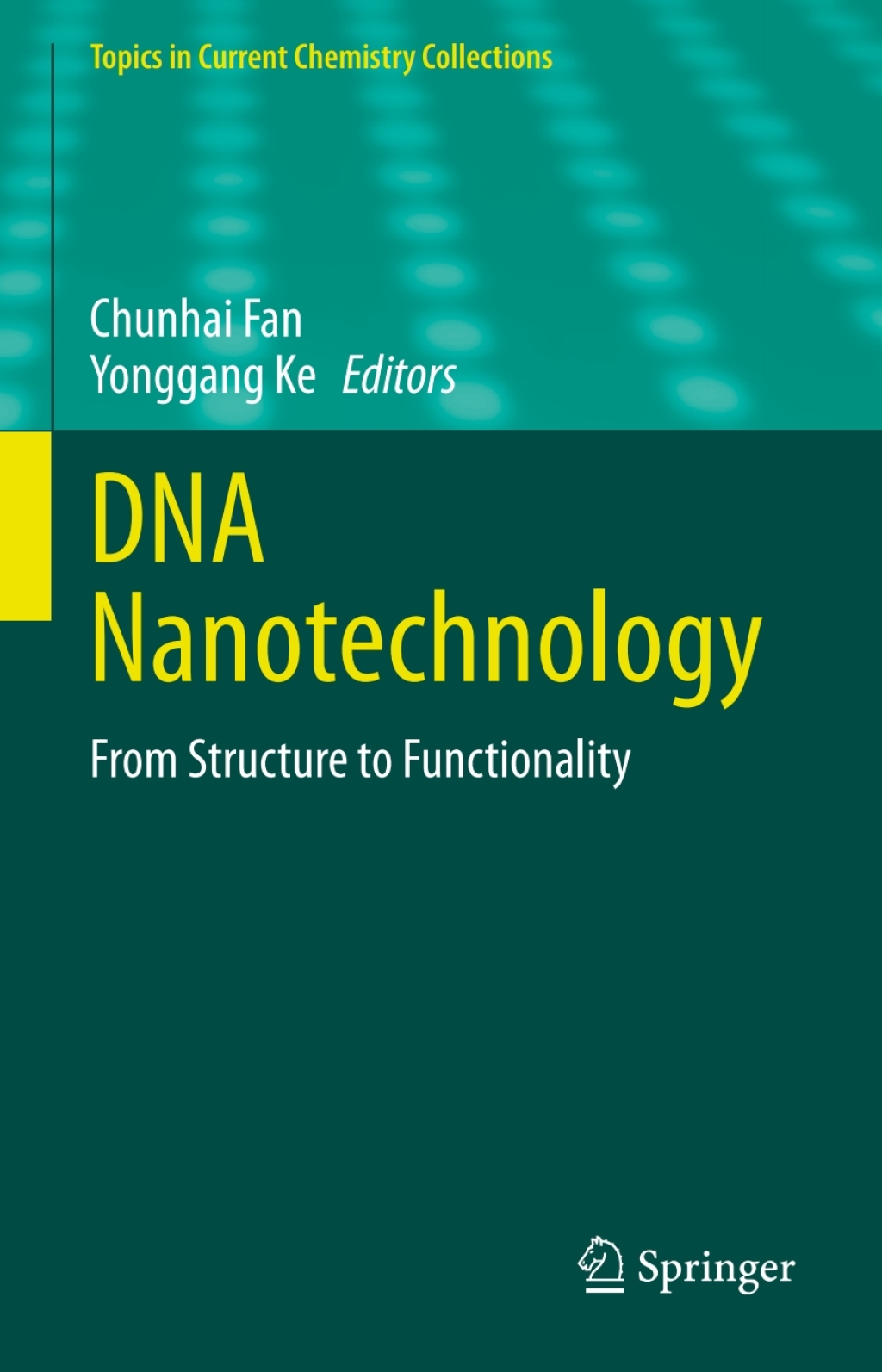 DNA Nanotechnology From Structure to Functionality 1st Edition