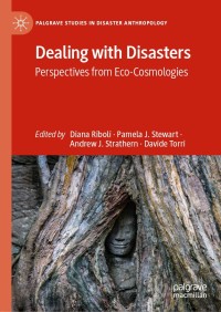 صورة الغلاف: Dealing with Disasters 1st edition 9783030561031