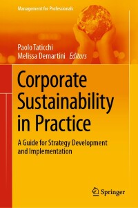 Cover image: Corporate Sustainability in Practice 1st edition 9783030563431