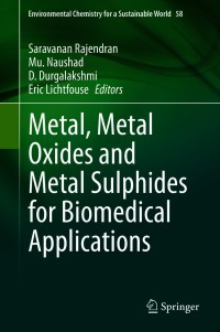 Imagen de portada: Metal, Metal Oxides and Metal Sulphides for Biomedical Applications 9783030564124