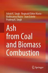 表紙画像: Ash from Coal and Biomass Combustion 9783030569808